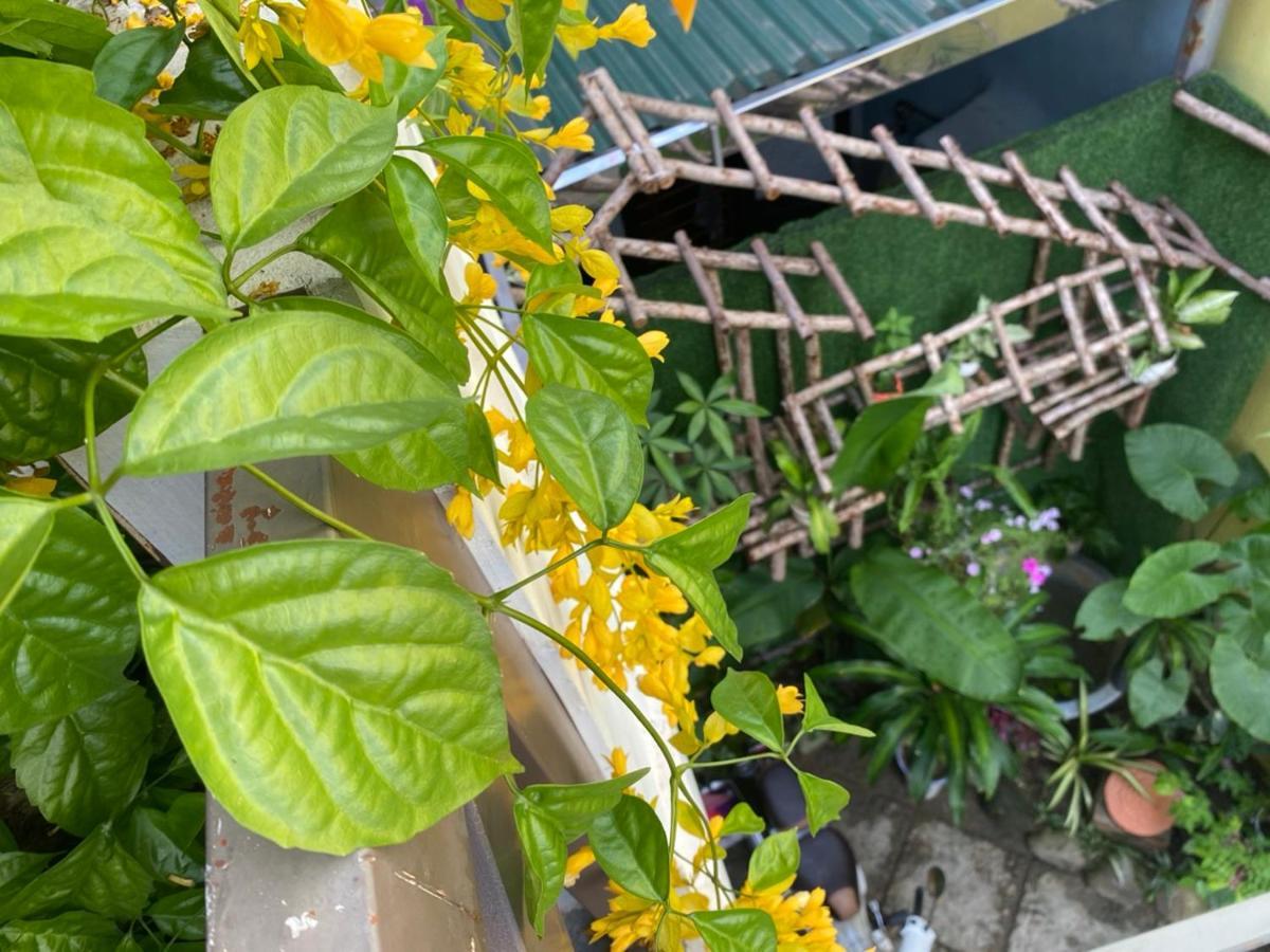 Seven Homestay Hue Εξωτερικό φωτογραφία
